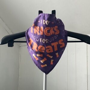 Purple and Orange dog Bandana